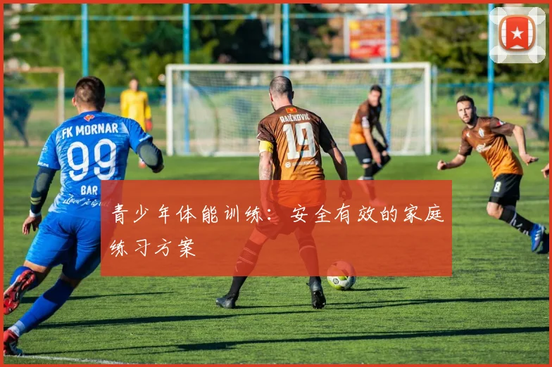 青少年体能训练：安全有效的家庭练习方案